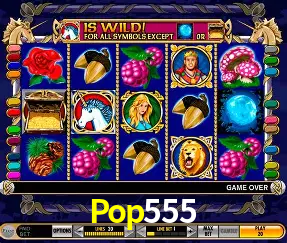 Seasonal Promotions Pop555